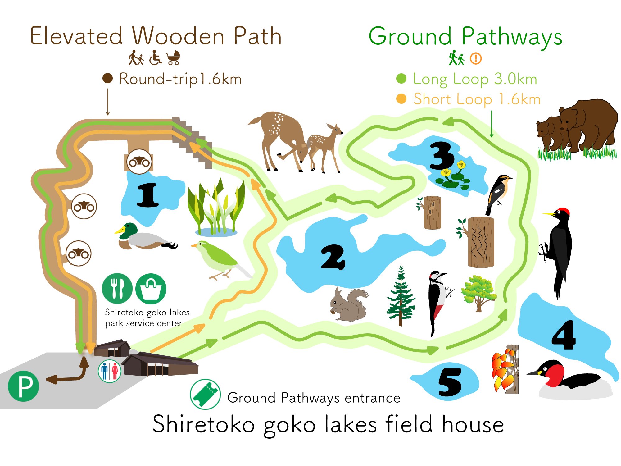지상 산책로 (Ground Pathways)